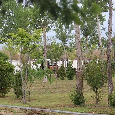Campsite Camping Girasole