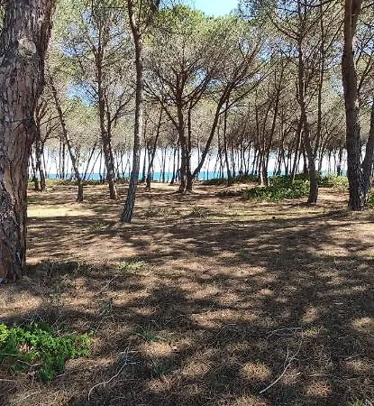 Camping Girasole Kemping